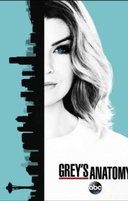 Анатомия страсти (13 сезон)