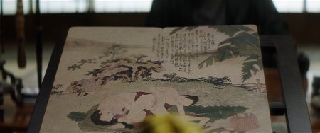 Служанка (2016)