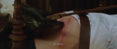 Служанка (2016)