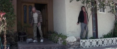 Хороший сосед (2016)