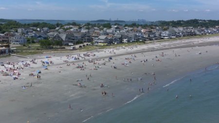 Акула-Франкенштейн (2016)