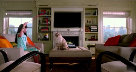 Девять жизней (2016) Девять жизней (2016)