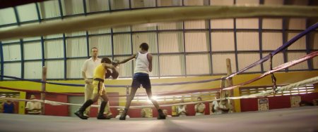 Каменные кулаки (2016)