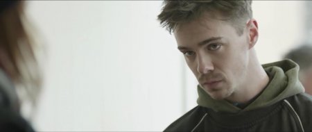 Уличные коты (2016)