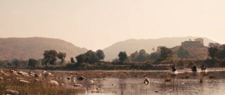 Ковбои (2015) Ковбои (2015)