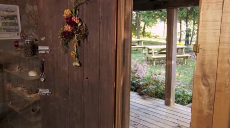 Несси и я (2016) Несси и я (2016)