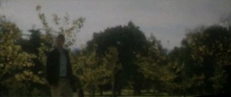 Инкарнация (2016)