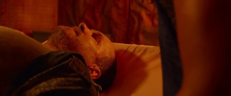 Трансформация (2016) Трансформация (2016)