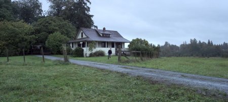 Даже у ягнят есть зубы (2015) Даже у ягнят есть зубы (2015)