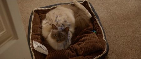 Золотые годы (2016) Золотые годы (2016)