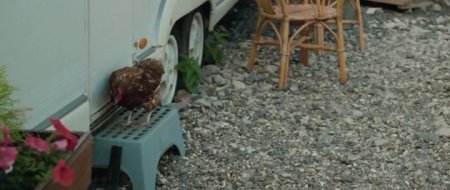 Афера по-английски (2016)