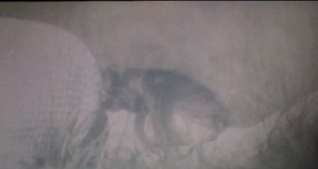 Иллюзия любви (2016)