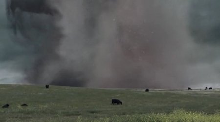 Акулий торнадо 4: Пробуждение (2016)