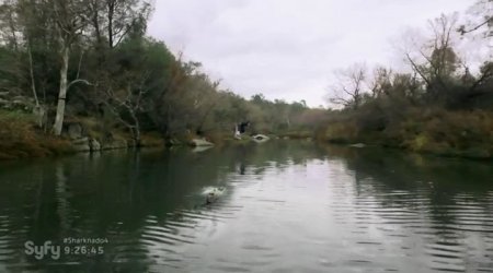 Акульи плотины (2016)