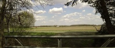 Город клоунов (2016)