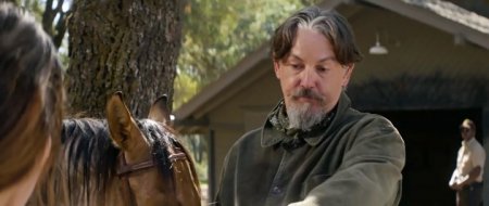 Одичавший (2017)