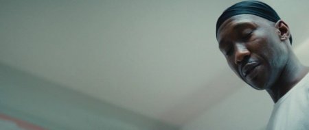 Лунный свет (2016) Лунный свет (2016)