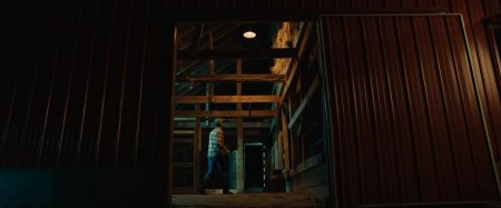 Американская басня (2016)