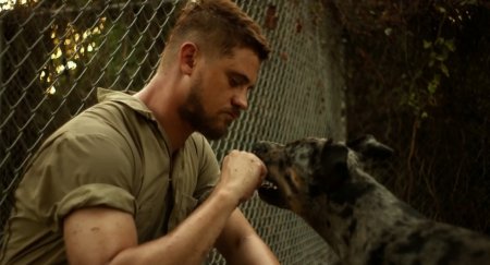 На свободе (2016) На свободе (2016)