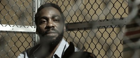 Собачий мир (2016)