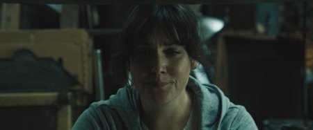 В этом мире я больше не чувствую себя как дома (2017)