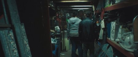 В этом мире я больше не чувствую себя как дома (2017)