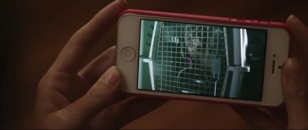 Любительница собак (2016)