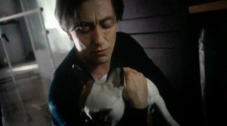 После тебя (2016) После тебя (2016)