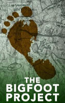 Фильм Проект «Снежный человек» (2017)