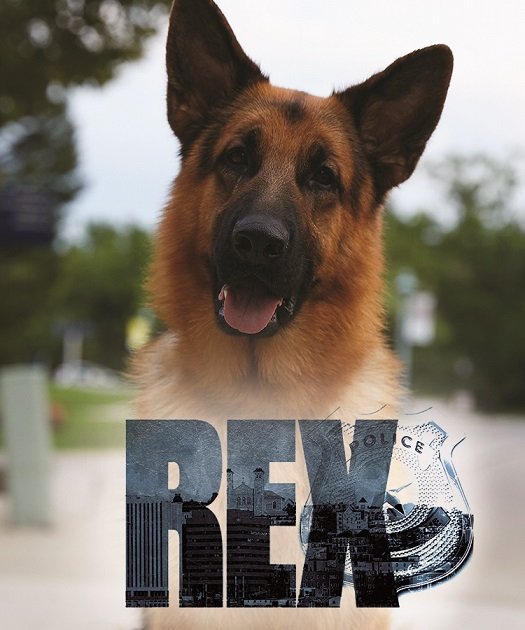 Фильм Хадсон и Рекс (1 сезон)