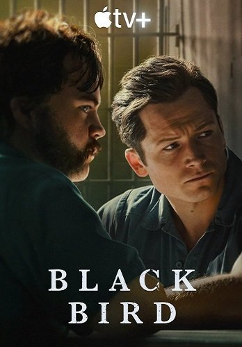 Фильм Чёрная птица (1 сезон)