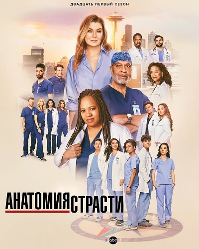 Анатомия страсти (21 сезон)
