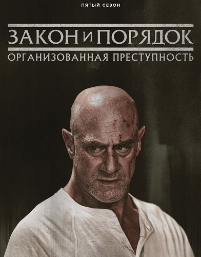 Фильм Закон и порядок: Организованная преступность (5 сезон)